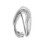 A Day in Asia 202401091911