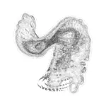 A Day in Asia 202401110423