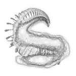 A Day in Asia 202401111834