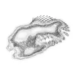 A Day in Asia 202401120731