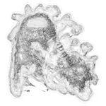 A Day in Asia 202401122147