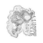 A Day in Asia 202401130449