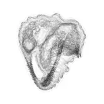 A Day in Asia 202401131838