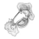 A Day in Asia 202401151056