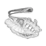 A Day in Asia 202401160820