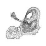 A Day in Asia 202401181135