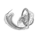 A Day in Asia 202401201823