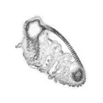 A Day in Asia 202401260944