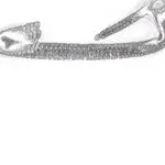 Just alive (with no particular aim) 202401030604