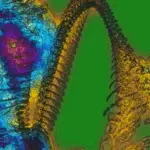 Just alive (with no particular aim) 202401051343