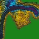 Just alive (with no particular aim) 202401052327