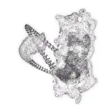 Just alive (with no particular aim) 202401270059