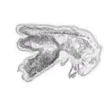 Just alive (with no particular aim) 202401281852