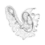 A Day in Asia 202402031423