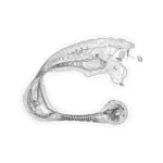 A Day in Asia 202402090709