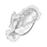 A Day in Asia 202402130751