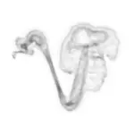 A Day in Asia 202402200624