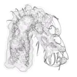 Just alive (with no particular aim) 202401300335