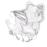 Just alive (with no particular aim) 202401312041