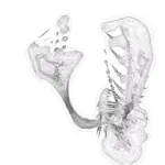 Just alive (with no particular aim) 202402071553