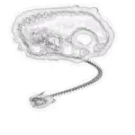 Just alive (with no particular aim) 202402101439