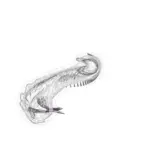 Just alive (with no particular aim) 202402112230