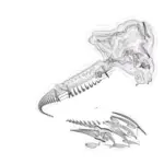 Just alive (with no particular aim) 202402131301