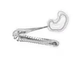 Just alive (with no particular aim) 202402160700