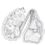 Just alive (with no particular aim) 202402162018