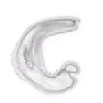 Just alive (with no particular aim) 202402172053