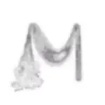 Just alive (with no particular aim) 202402181811