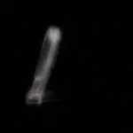 Just alive (with no particular aim) 202402210039