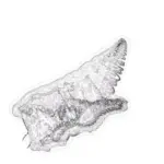 Just alive (with no particular aim) 202402280325