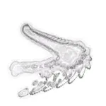 Just alive (with no particular aim) 202402290454