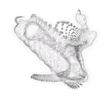 Just alive (with no particular aim) 202403020617