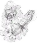 Just alive (with no particular aim) 202403031144