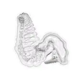 Just alive (with no particular aim) 202403120646