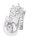 Just alive (with no particular aim) 202403141921