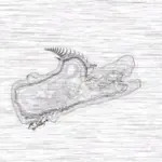 Just alive (with no particular aim) 202403231215