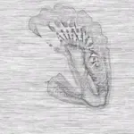 Just alive (with no particular aim) 202403241429