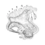 A Day in Asia 202404111559