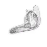 Just alive (with no particular aim) 20240401