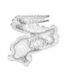 Just alive (with no particular aim) 20240403