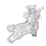 Just alive (with no particular aim) 20240413