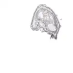 Just alive (with no particular aim) 20240427