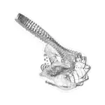 A Day in Asia 202405250602