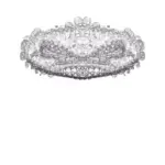 Just alive (with no particular aim) 20240517