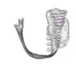 Just alive (with no particular aim) 20240624