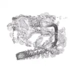 Just alive (with no particular aim) 20240723