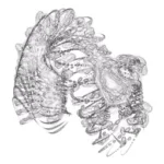 Just alive (with no particular aim) 20240916